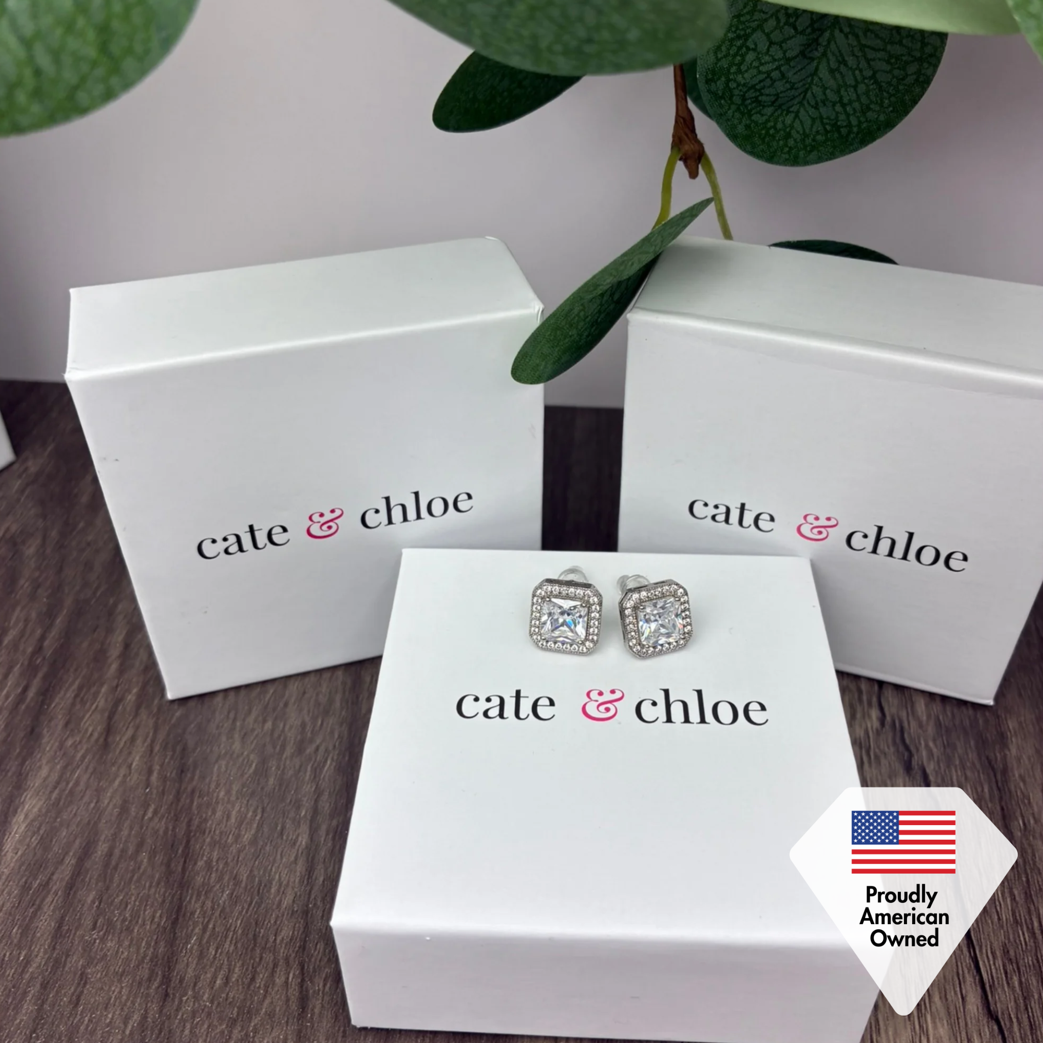 Norah 18k White Gold Plated Princess Cut Halo Stud Earrings with Simulated Diamond Crystals