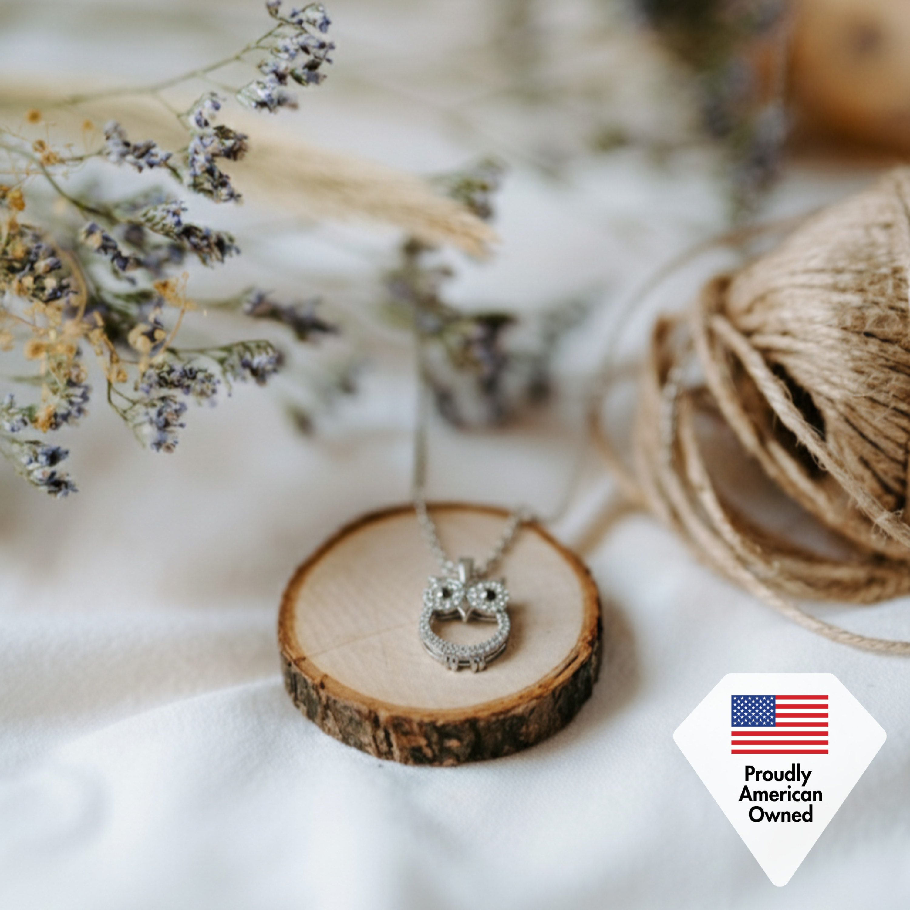 Ari“智慧”18k 镀白金猫头鹰吊坠项链，镶有 CZ 水晶